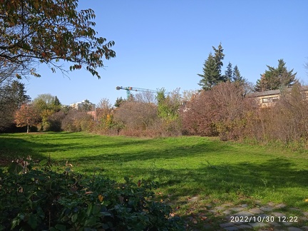 IMG 20221030 122243