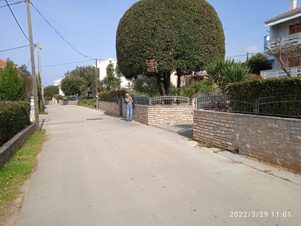 IMG 20220329 110120 1