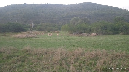 IMG 20240506 173305 1